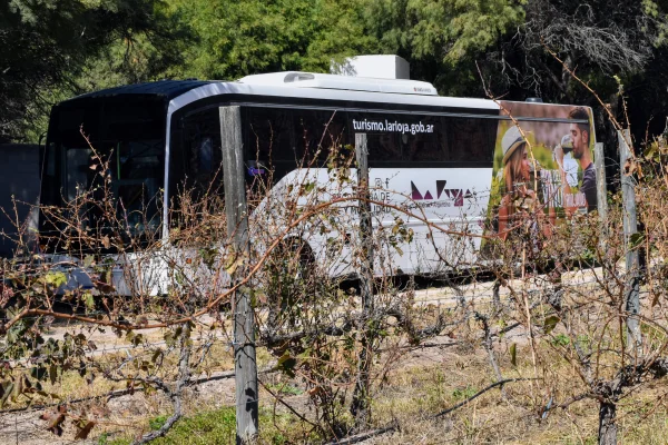La Rioja invita a recorrer la Ruta del Vino a bordo del Bus Turístico