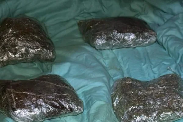 Secuestran 75 kilos de marihuana en un operativo realizado al norte de Chepes