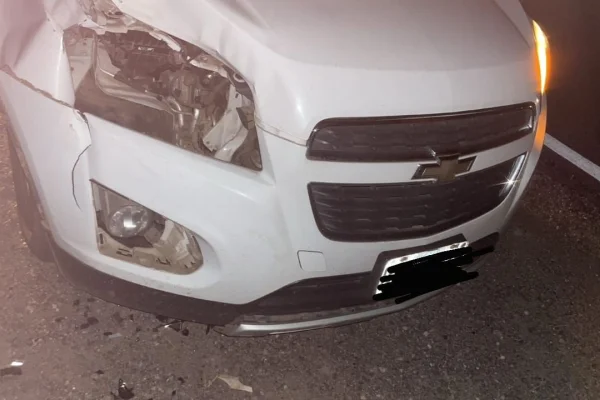 Animal suelto en la Ruta 38 provocó fuerte siniestro vial