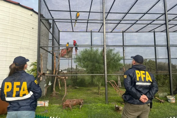 Rescataron de un zoológico clandestino a animales en cautiverio