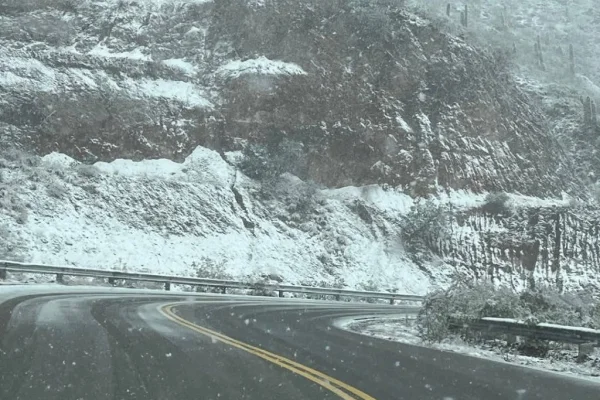Comenzó la ola polar para toda la Provincia
