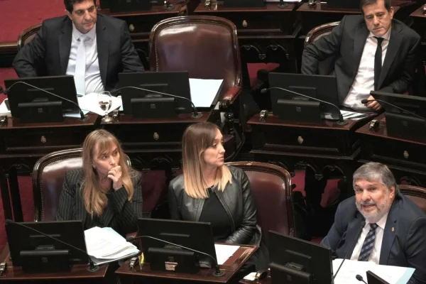 Senado: llamativo silencio del kirchnerismo tras la designación de Gestoso Presas por parte de Villarruel