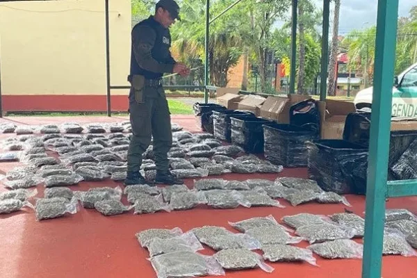 Casi 100 kilos de marihuana: abren encomienda despachada por empresa dedicada a envíos de paquetería