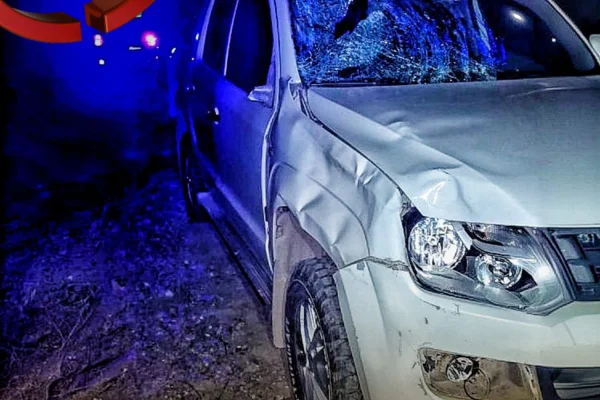 Una camioneta chocó con un caballo y sus ocupantes salieron ilesos