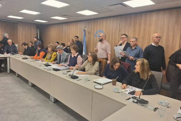 Diputados avanza con dictámenes para declarar la emergencia en el Hospital Garrahan por dos años