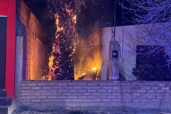 Incendio de una palmera generó alarma en barrio La Usina