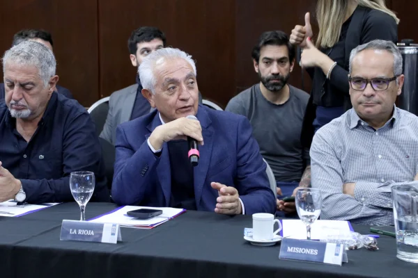 Crisis en el Garrahan: Vergara alertó que su debilitamiento afecta a todo el sistema de salud argentino