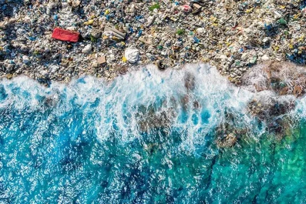 5 de junio, Día Mundial del Medio Ambiente: la necesidad de erradicar la contaminación por plástico