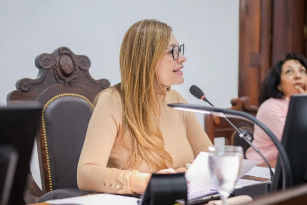 Tere Madera cruzó a Martín Menem: