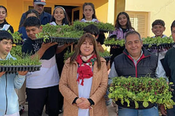 Municipio entrega plantines promoviendo huertas