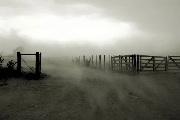 Alerta meteorológica en La Rioja por nevadas y viento Zonda