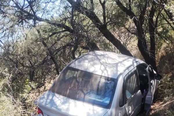 Una mujer perdió el control de su auto y terminó entre los árboles