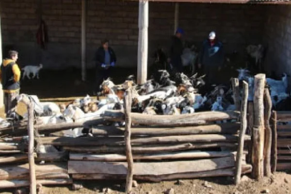INTA realizó una jornada en Sierras de Tuaní