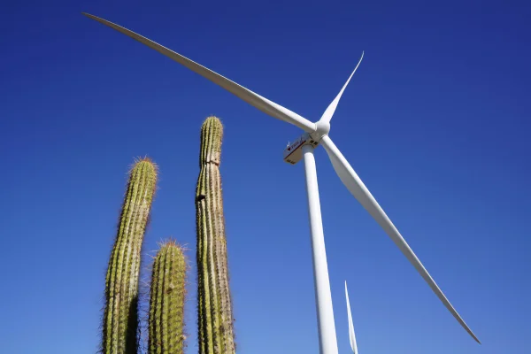 Ariel Parmigiani, presidente de Parque Arauco: «La idea es que con todas las etapas completas Arauco despache 350 o 400 MW»