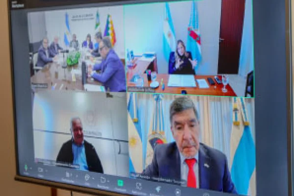 Vicegobernadores reclamaron por la coparticipación y pidieron por la paz mundial