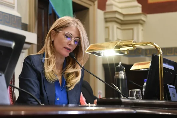 El Senado bonaerense aprobó las reelecciones indefinidas para legisladores