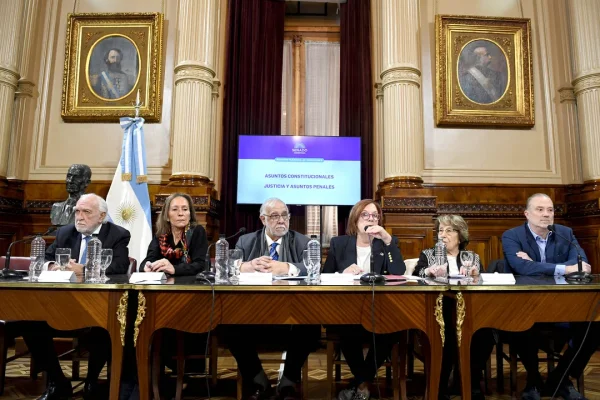 El Senado retomó la discusión por la ampliación de la Corte Suprema con críticas de reconocidos juristas