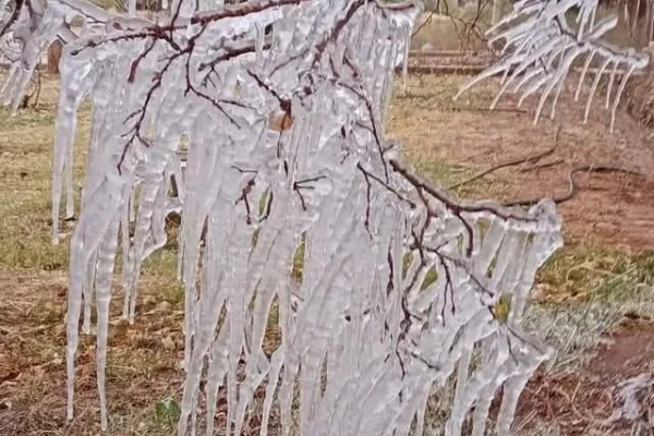 Villa Castelli amaneció con hielo por todos lados y una sensación de -7ºC