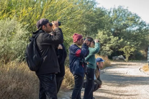 Avistaron aves en la Reserva Takú
