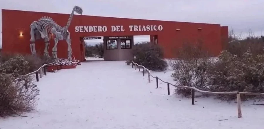 Dinosaurios blancos. Sendero del Triásico cubierto de neve. Otra de las postales que se pudo conocer por redes sociales.