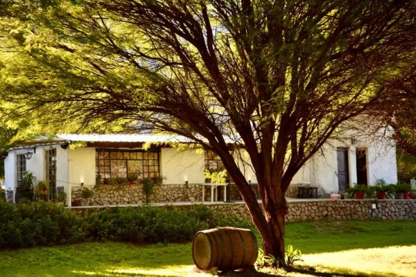 Invitan a recorrer las bodegas y emprendimientos del vino