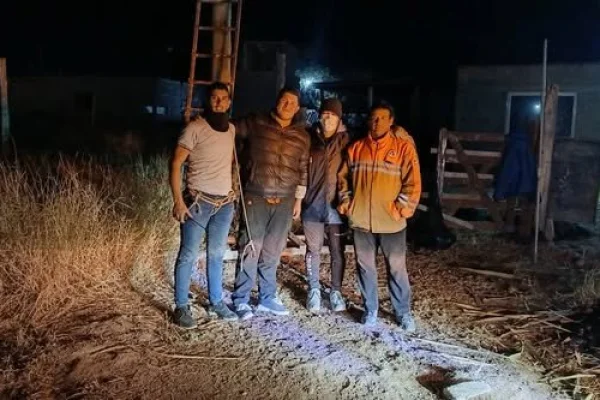 Tras cinco horas de trabajo, rescataron un gato que trepó un poste de 8 metros