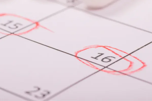 Feriados 2025: cuándo es el próximo día de descanso tras el 9 de julio