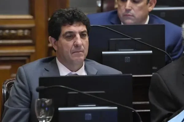 Rejal anticipó su postura en la sesión de hoy en el Senado donde intentarán poner freno a la motosierra de Milei