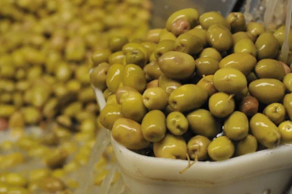 Preocupa la baja en la recaudación de la producción olivícola en La Rioja