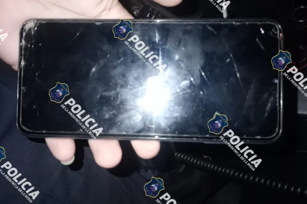 Fue a una fiesta, le robaron el celular y la policía se lo recuperó