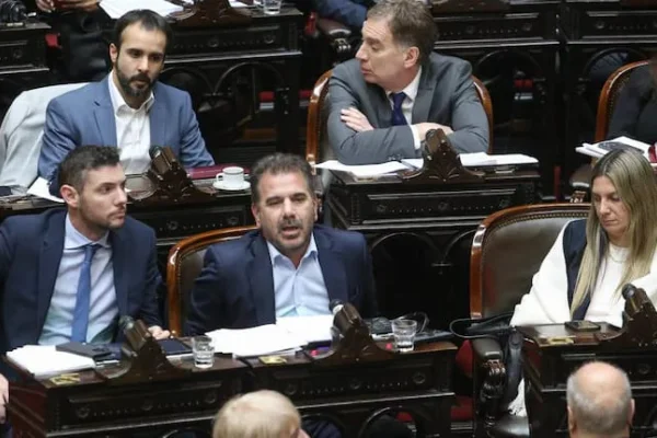 El PRO presentó un proyecto en Diputados para que se investiguen las causas del escándalo del corte de luz