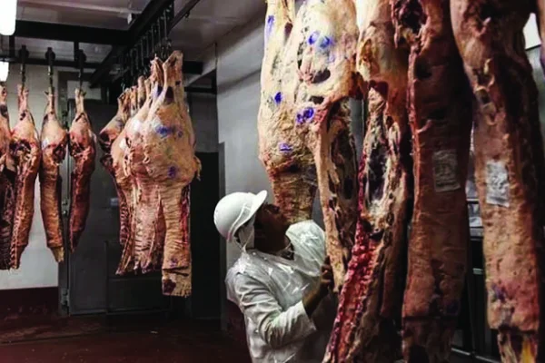 Retenciones: Nación evalúa una rebaja para la carne