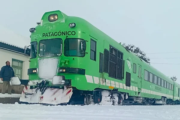 Nueva locomotora para el Tren Patagónico: 120 km/h de velocidad máxima, 3.000 HP y una inversión millonaria
