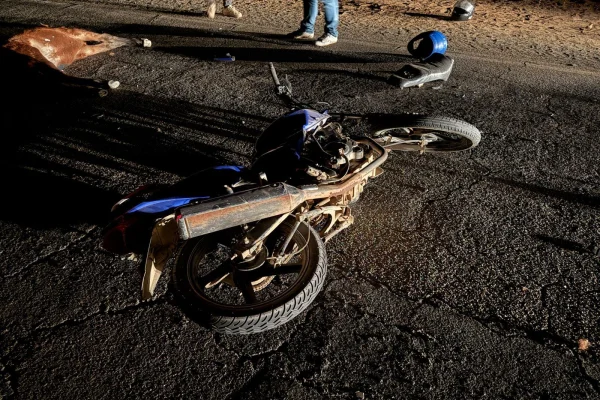 Animal suelto ocasionó un siniestro vial en Chilecito