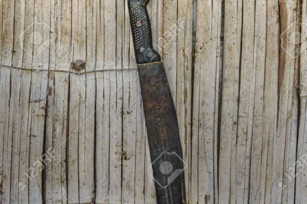 Un hombre fue acusado de atacar con un machete oxidado, lo detuvieron en Tribunales y hallaron el arma escondida en su casa