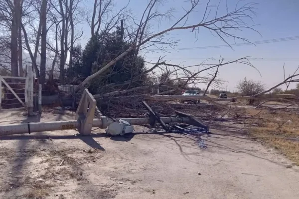 EDELaR informó que se restableció el servicio tras el viento