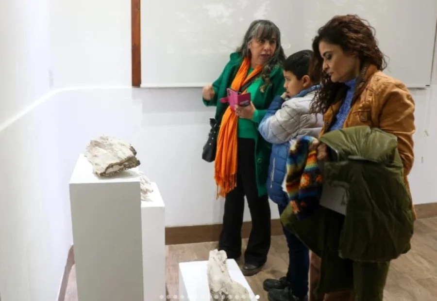 El Espacio de Arte Contemporáneo está ubicado dentro del Paseo Cultural Castro Barros.