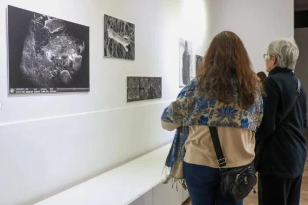 Continúan las muestras de arte contemporáneo de Bienalsur