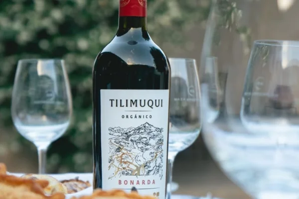 Una copa de Bonarda en La Rioja