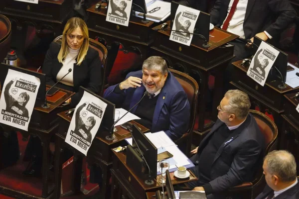 Dudas en el Senado por los tiempos en los que se tratarán los proyectos de universidades y Garrahan