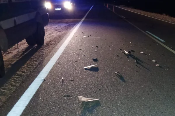 Ambulancia trasladaba a un enfermo y chocò con un caballo