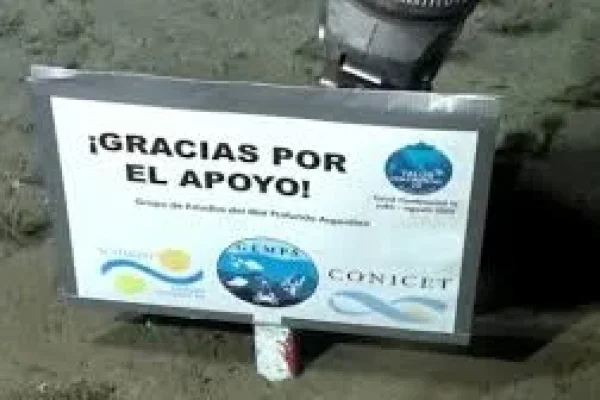 Científica del CONICET agradeció tras la exploración del fondo del Mar Argentino