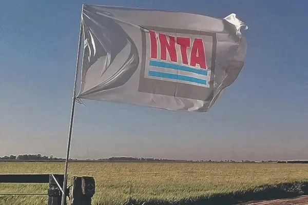 El Gobierno eliminó la Dirección Nacional del INTA y concentró sus funciones en la Presidencia del organismo