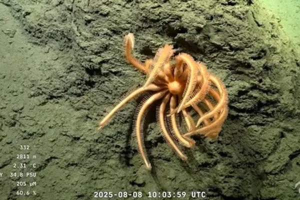 Volvieron los investigadores de la expedición del CONICET que superó todas las expectativas