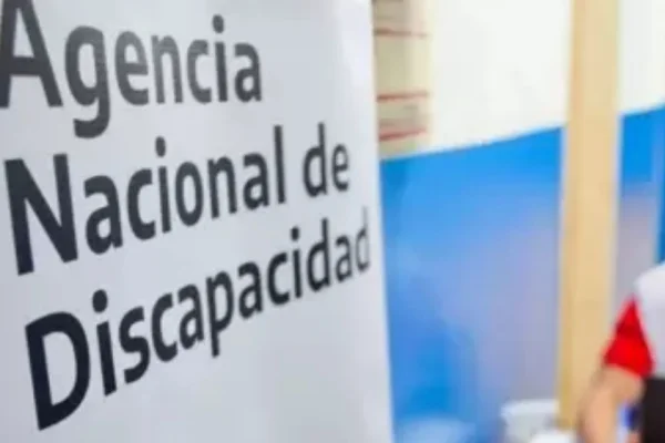 Avanzan las auditorías de Pensiones No Contributivas por Invalidez Laboral