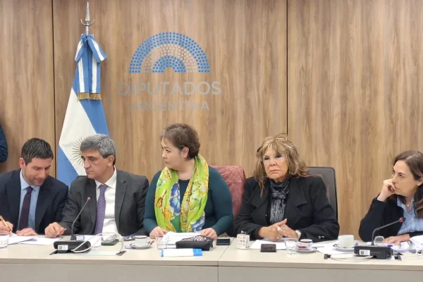 Controles a laboratorios de fentanilo: la Cámara de Diputados busca respuestas