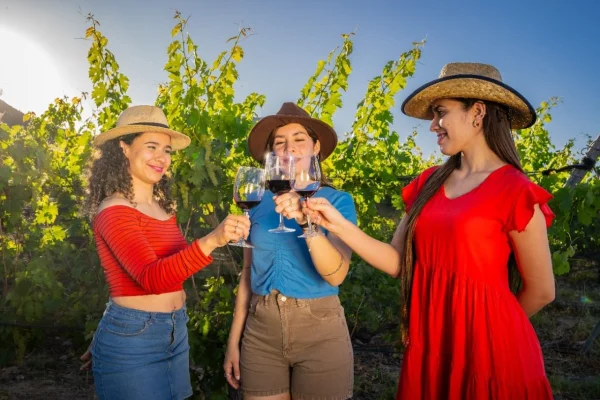 Fin de semana largo en La Rioja: subite al Bus de la Ruta del Vino y viví una escapada enoturística