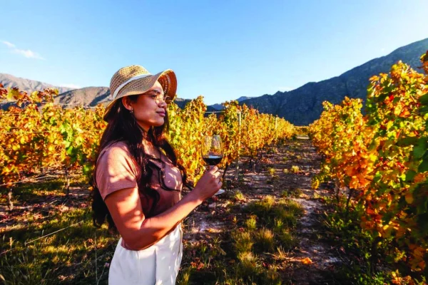La Ruta del Vino es la mejor opción para el fin de semana