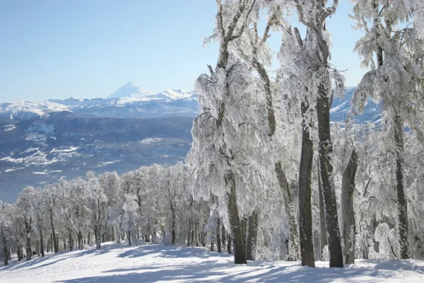 Indignación en San Martín de los Andes: denuncian tarifas abusivas y concesión polémica en Chapelco
