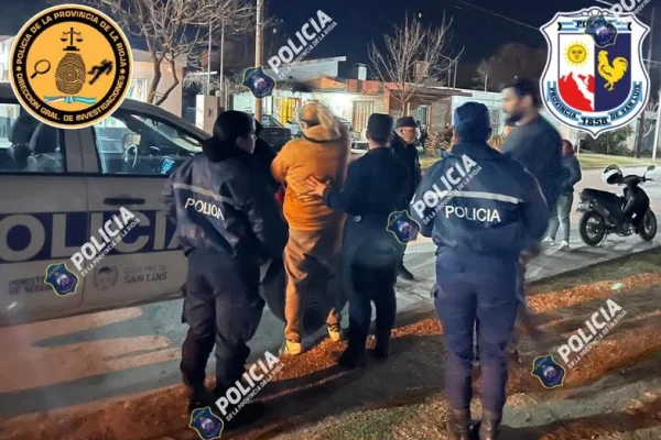 Registraron dos detenidos por violencia y uno por estafa